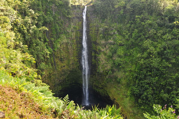 Waterfall in Kawaii...