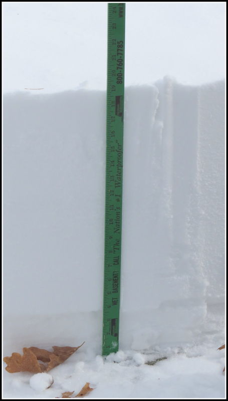 almost 20 inches...