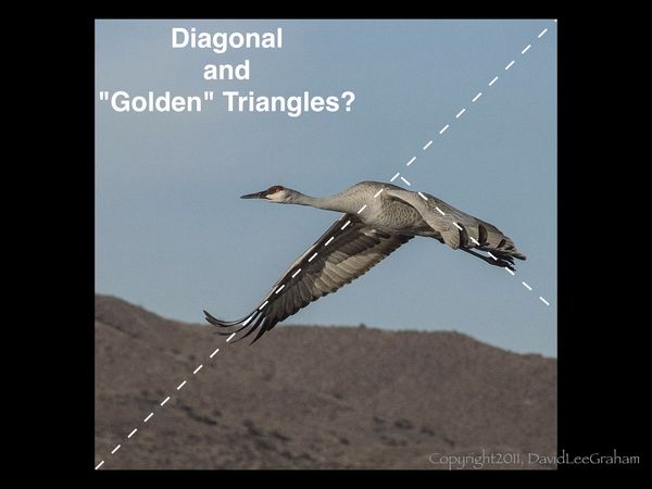Diagonal and "GoldenTriangles"...