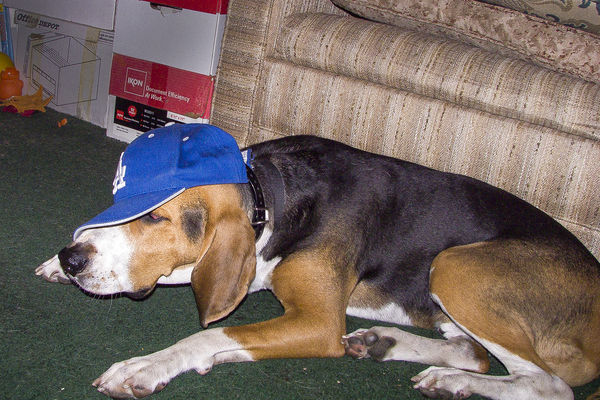 Cooper Feeling Depressed Over Dodgers...
