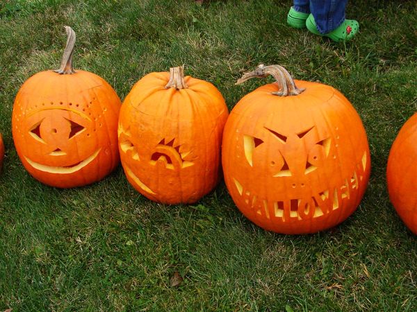 actual carved pumpkins...