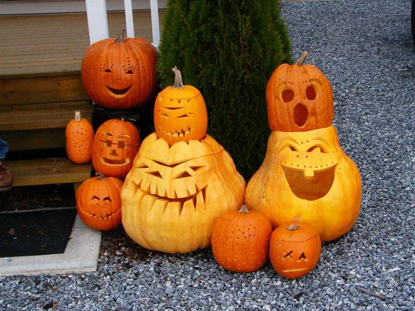 more carved pumpkins...