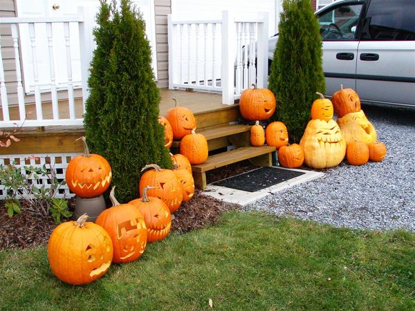 actual complete pumpkin display...