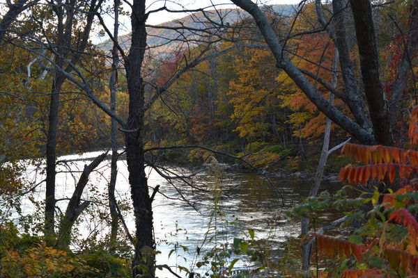 Deerfield River through the trees...