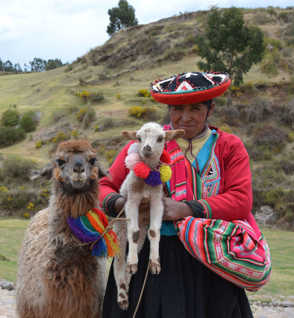 LLama & Alpaca provide wool for their clothes....