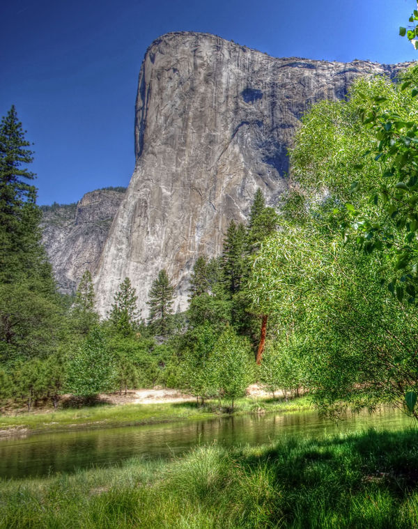 El Capitan from the south side picnic area...