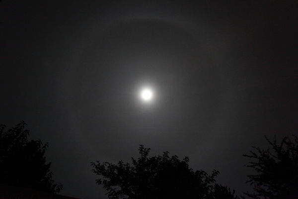 Moon ring...