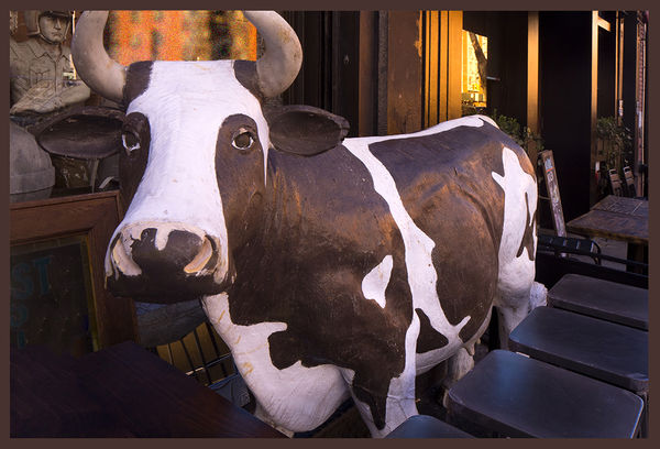 Life-size bovine for sale...