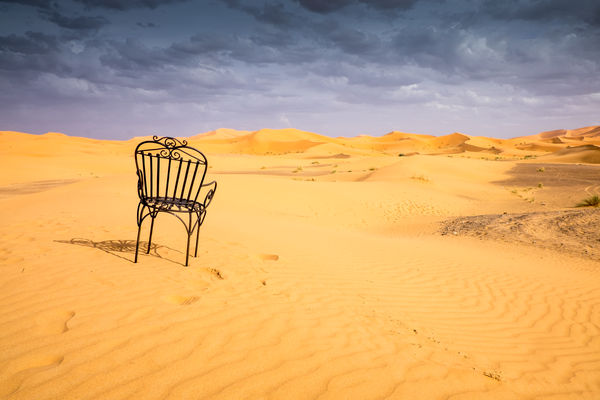 A Quiet Moment in the Sahara Desert...