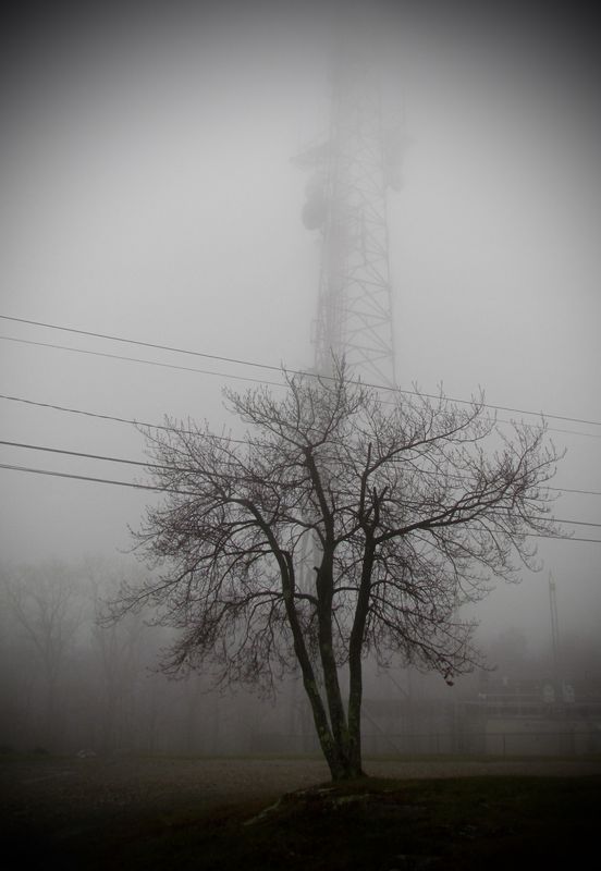 On top of Mohawk Mountain in the fog...