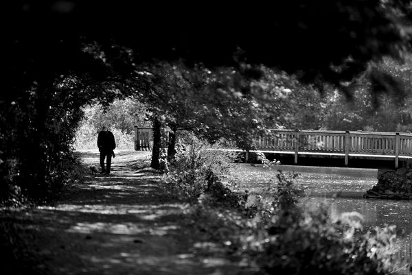 Autumn walk in Uxbridge Massachuesettes near the B...