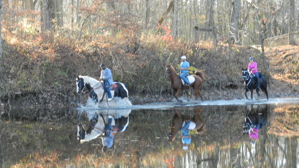 Horseback riders in the creek as viewed through th...