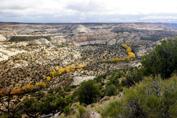 this canyon with the yellow trees way below along ...