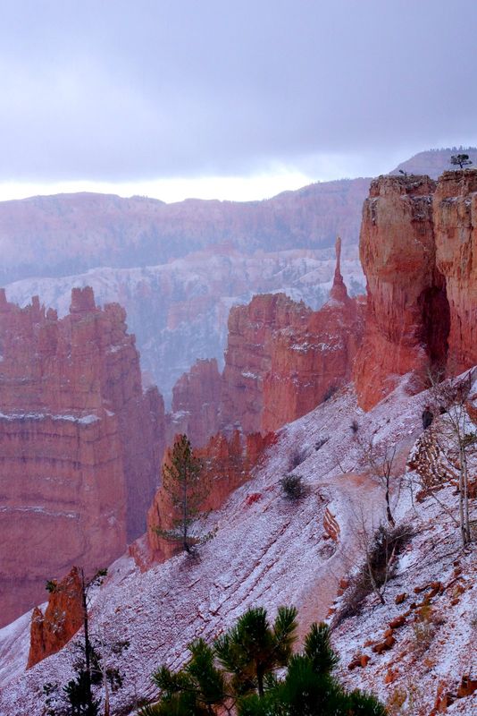 when we arrived in Bryce it was snowing again...