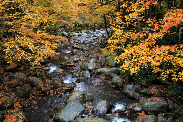 Smoky Mountain October 26th