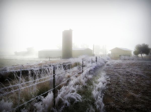 Frost and mist...