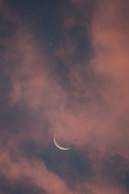 3. The moon yesterday morning at dawn - with Venus...