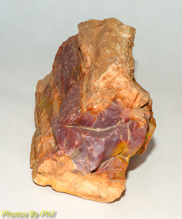 Some petrified wood from the Triassic period...