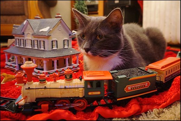 4. Merlin under the tree with train....