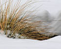 Winter Garden - Taken with my new Nikon D7200....