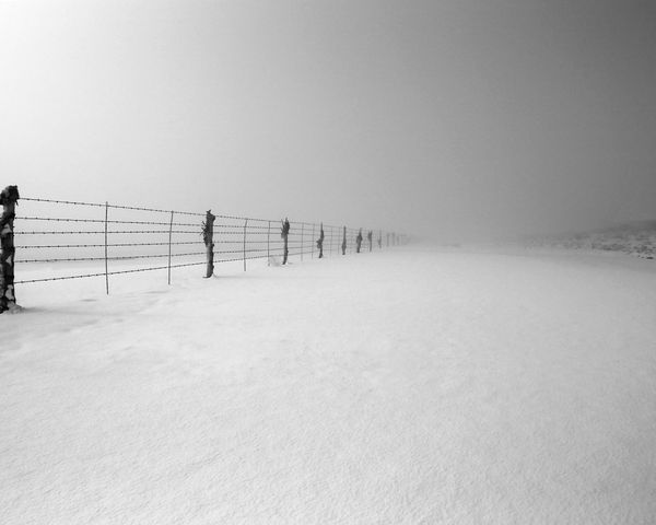 Fence in Snow & Fog...