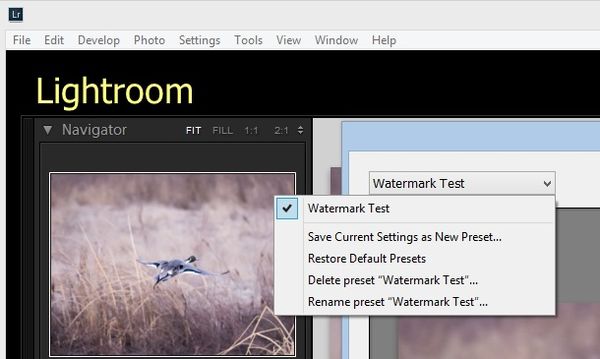 Select Delete preset "Watermark Test"...