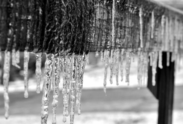 Icicles black and white...