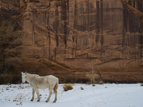 Canyon De Chilly...