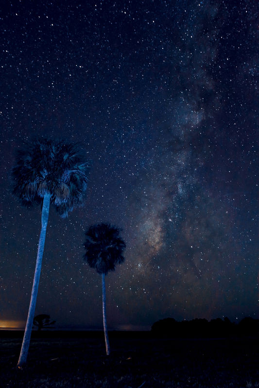 Milky Way from the Southern Everglades...
