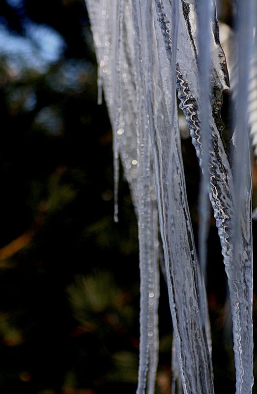 Icicle outside the kitchen window...