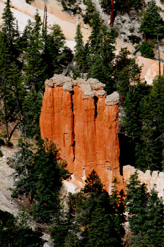 From  Bryce Canyon...