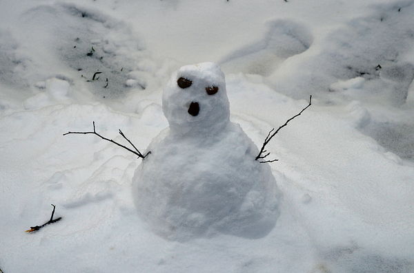 My neighbors 'snowman'.... (aprox. 1' tall)...
