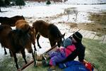 Feeding the horses at Jackson Hole. 30 deg. below ...