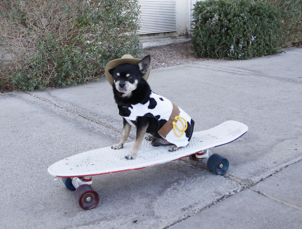 little girl loaned him her skateboard...