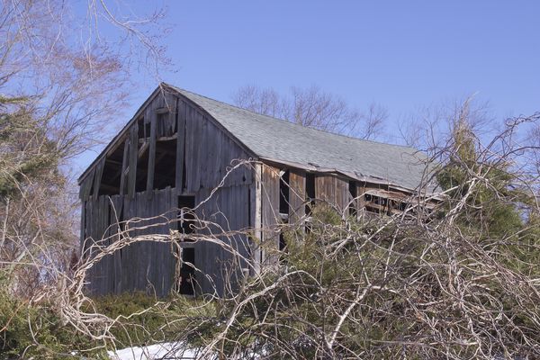 Dilapidated barn behind the cove company...