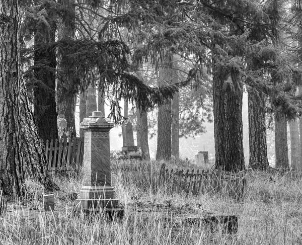 4. Roslyn Historical Cemetery, Washington State...
