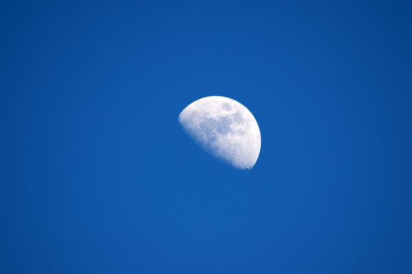 Afternoon Moon...