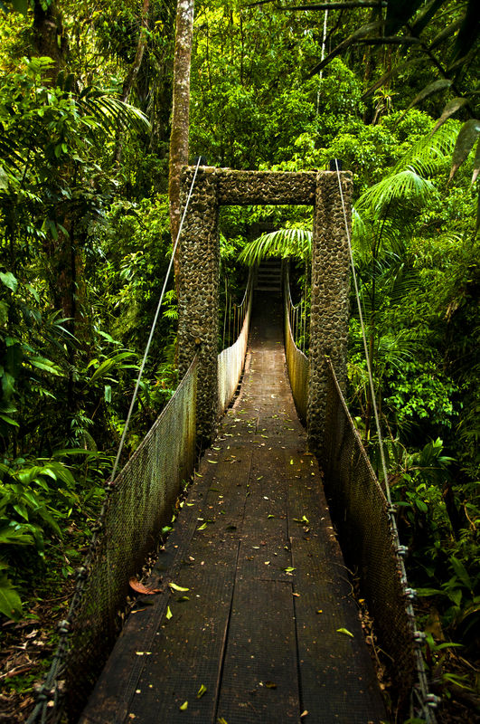 Foot Bridge in Costa Rica...