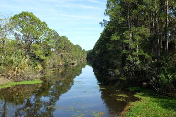 Canal by Buddy Taylor Middle School in Palm Coast...