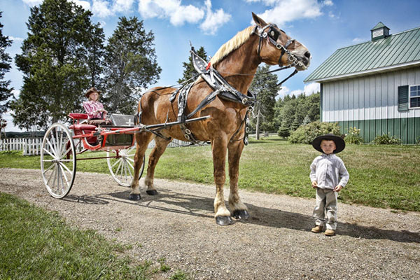 1.  Big Jake is the tallest known horse in the wor...
