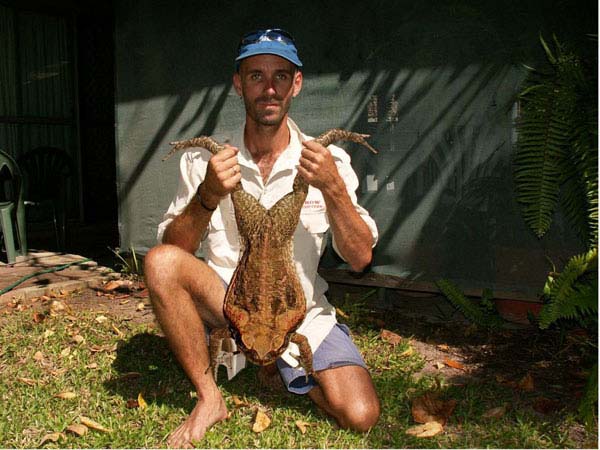 3.  Cane Toad...