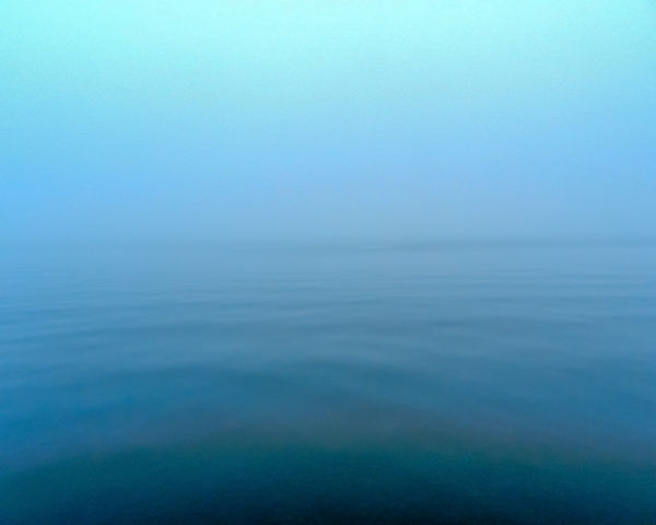 Fog on the Bay...