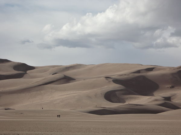 At The Great Sand Dunes, CO....