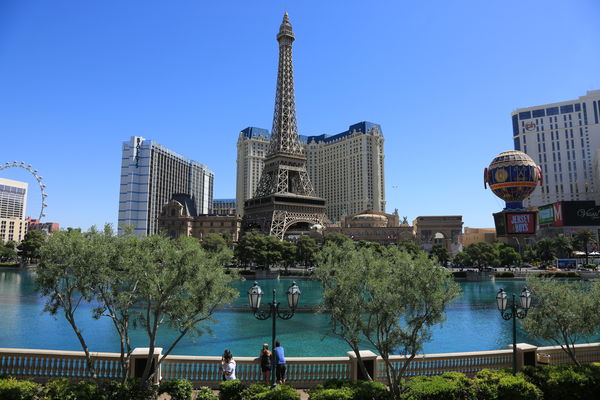 Eiffel Tower from the Bellagio...