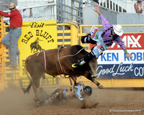 Rodeo bull fighter got a lift.....