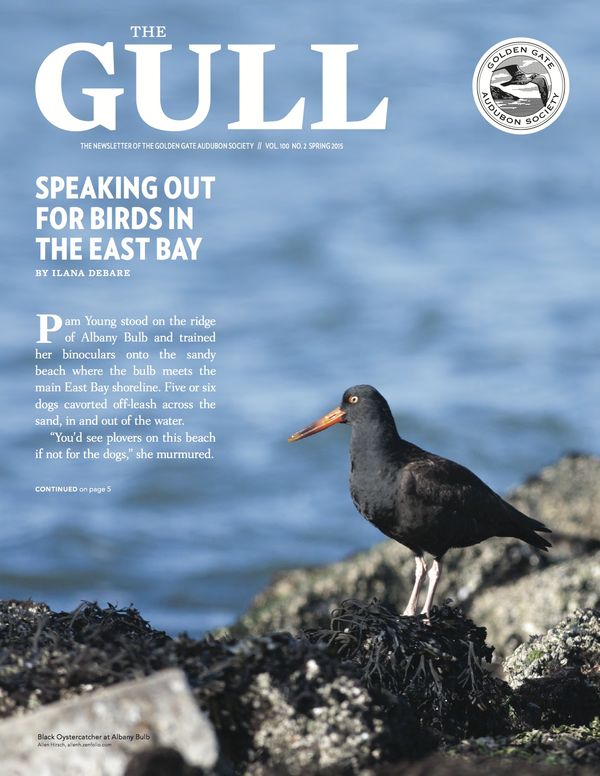 The Gull (Golden Gate Audubon Society newsletter) ...