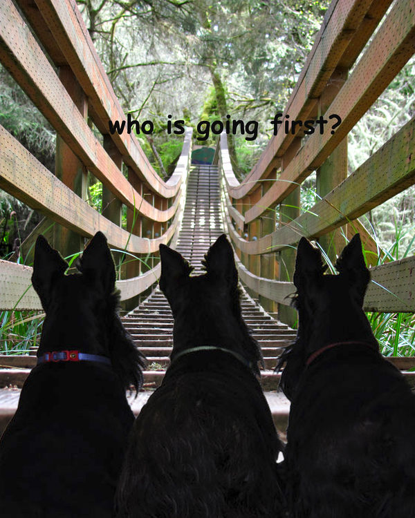 who is going first?...