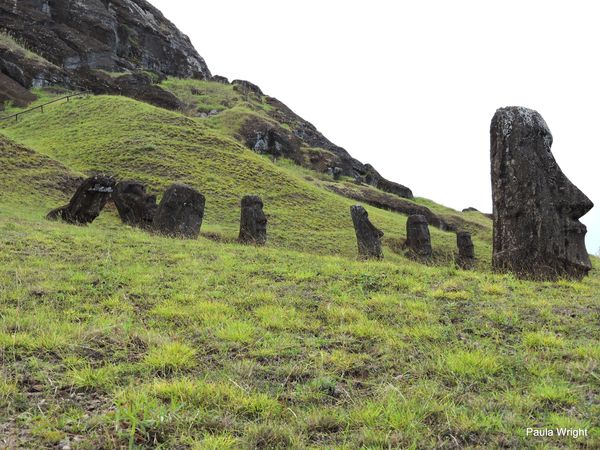 Moai at Rano Raraku (the quarry where they were mi...