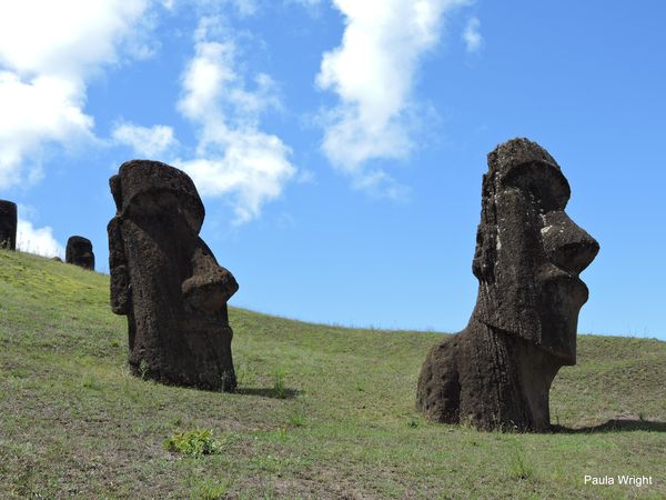 Moai on hillside at Rano Raraku...