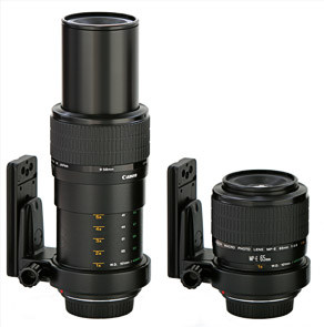 Canon MP-E 60-mm macro lens: 5:1 on left; 1:1 on r...